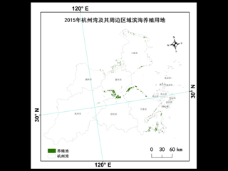 数据缩略图