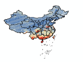 数据缩略图